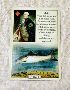 アリス・ダイアリー | 故事成語「水清ければ魚棲まず」