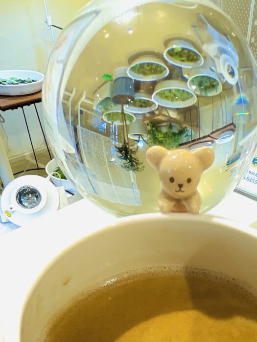 アリス・ダイアリー | 心に栄養補給、オラクル占い