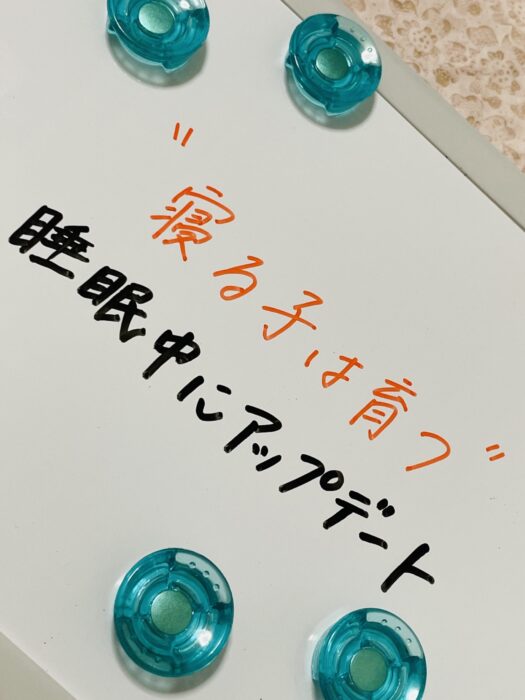 アリス・ダイアリー アリス・ダイアリー