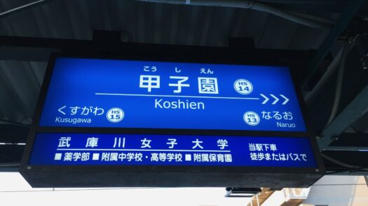 アリス・ダイアリー | 掴んだ夏切符の行き先は「夢の甲子園」