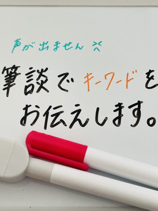 アリス・ダイアリー | 心を込めた筆談でスペシャル体験
