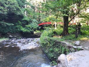 ハピネスダイアリー | 幻想的なひととき 新鮮な空気 出羽三山 鶴岡市