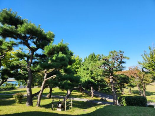 ハピネスダイアリー | 快晴で 心地よい場所でのんびり 日和山公園 酒田市