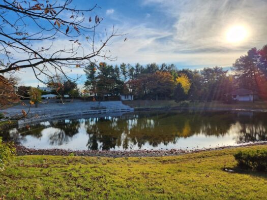 ハピネスダイアリー | 色鮮やかな 風景 庄内緑地公園　鶴岡市