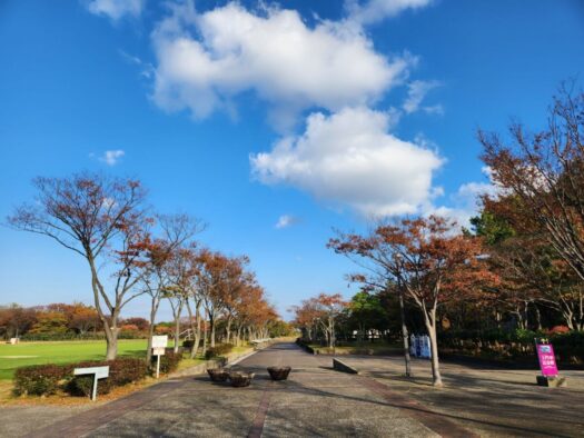 ハピネスダイアリー | 秋晴れの 飯森山公園で 満喫  酒田市