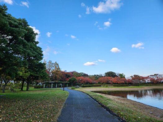 ハピネスダイアリー | 秋晴れの 飯森山公園で 満喫  酒田市