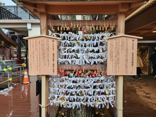 ハピネスダイアリー | 澄んだ空気に 癒される 白山神社 新潟市