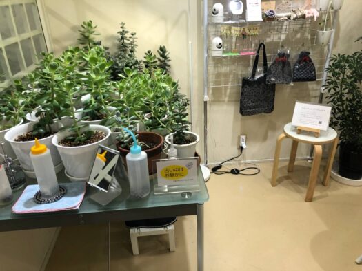 いー庄内ドットコム | もみほぐしで運気と女性力高めて彼に会いたい フォーチュンヒーリング 鶴岡市