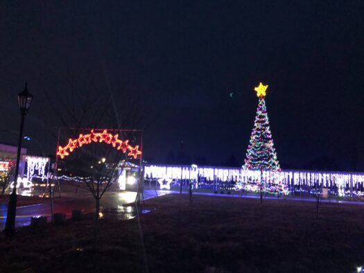ハピネスダイアリー | 幻想的空間に癒されて心が躍る 鶴岡市