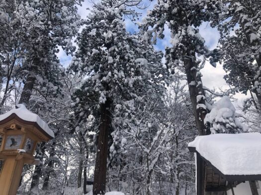 ハピネスダイアリー | 幻想的な雪景色に心癒される