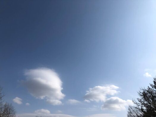 ハピネスダイアリー | 空を見上げてリフレッシュ 緑地公園