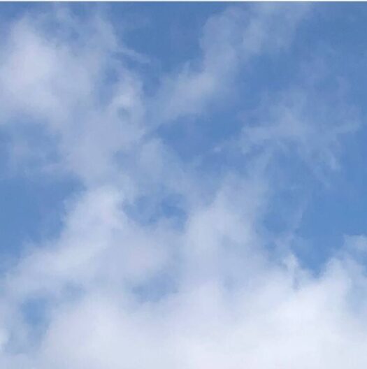 ハピネスダイアリー | 快晴に誘われて お出かけしたい気分