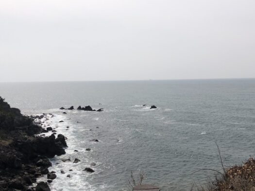 ハピネスダイアリー | 温かい陽気に包まれて ドライブ