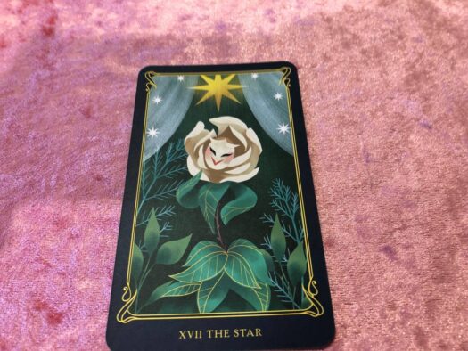 ハピネスダイアリー | 幸せの後押ししてくれている アリスのタロットカード