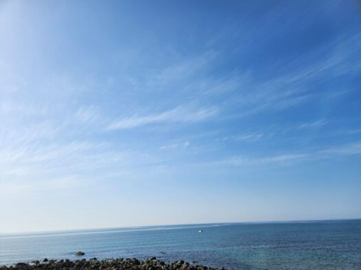 山形インフォメーション | 暖かな春を感じながら 遠くまで足を運びたい