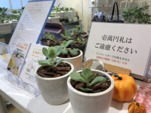 ハピネスダイアリー | 良い空間で心も身体もリフレッシュ フォーチュンヒーリング 鶴岡市 ハピネスダイアリー | 良い空間で心も身体もリフレッシュ フォーチュンヒーリング 鶴岡市