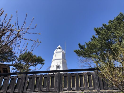 ハピネスダイアリー | 暖かい日差しの中 のんびりお散歩