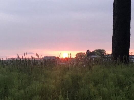 ハピネスダイアリー | 夕焼けにホッと心が癒され時間