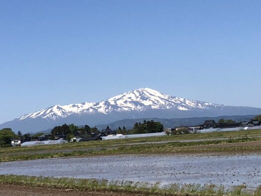 ハピネスダイアリー | 鳥海山と田園風景に心が和むひととき