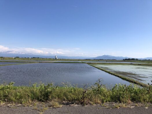 ハピネスダイアリー | 青空と広がる田んぼを見てホッとする時間 ハピネスダイアリー | 青空と広がる田んぼを見てホッとする時間