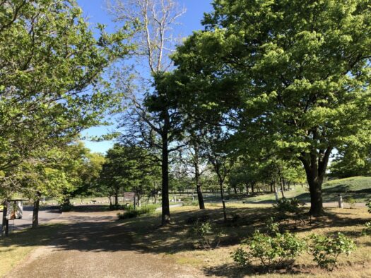 ハピネスダイアリー | 清々しい空気と森林に包まれながらの快適ウォーキング