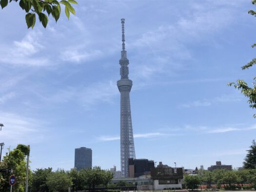 ハピネスダイアリー | スカイツリーを見ながら 隅田公園を散策 ハピネスダイアリー | スカイツリーを見ながら 隅田公園を散策