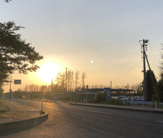 ハピネスダイアリー | まぶしいほどの夕日に照らされて お散歩