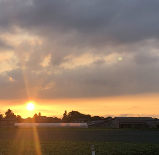 ハピネスダイアリー | 疲れた体を そっと解きほぐしてくれる夕日