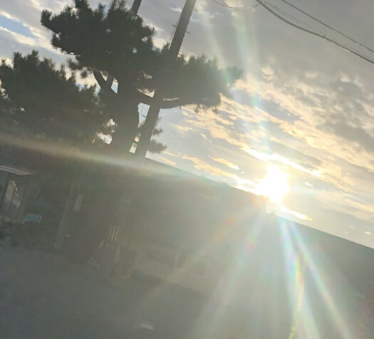 ハピネスダイアリー | まぶしい夕陽に照らされて 心身が癒されるひととき