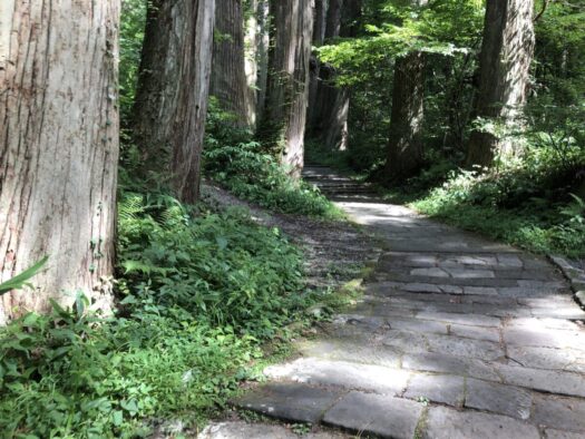 ハピネスダイアリー | 神聖な空気と自然に触れながら 羽黒登山