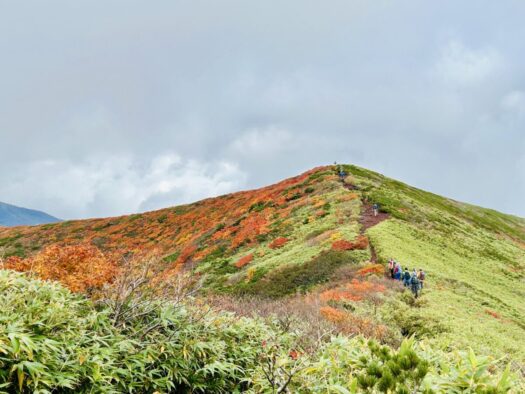 ひまわりダイアリー | 見頃 秋田駒ケ岳 紅葉  仙北市