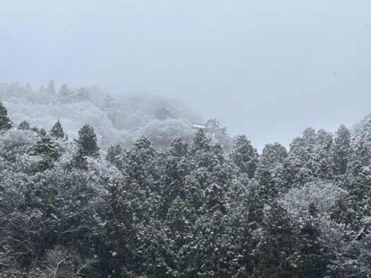 ひまわりダイアリー | 清めの雪景色 水子供養 山寺 山形市