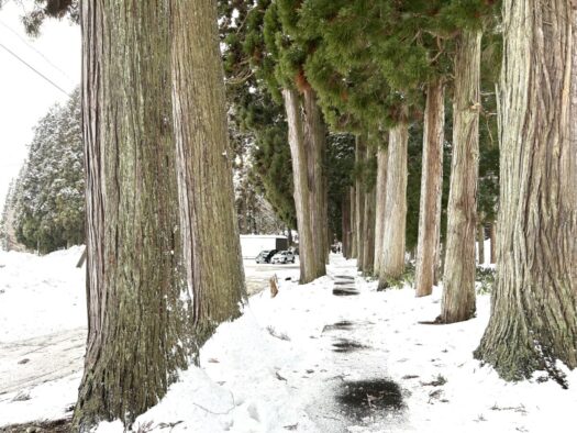 ひまわりダイアリー | 優しくも荘厳 女一代守神 唐松神社 大仙市