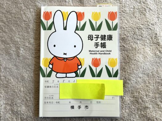 ひまわりダイアリー | 歓喜と苦悶 妊娠８週 待ち望む命 横手市