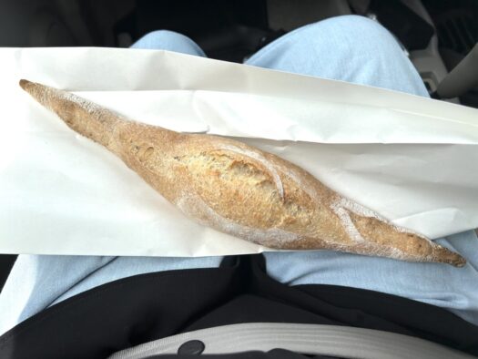 ひまわりダイアリー | 職人技 フランスパン 焼きたてパン屋ジジ 横手市
