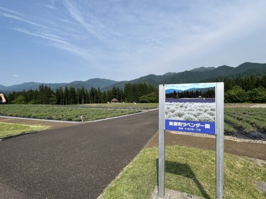 ひまわりダイアリー | 心に沁みる 妊娠１０週から１２週 母の想いとニテコサイダー 美郷町
