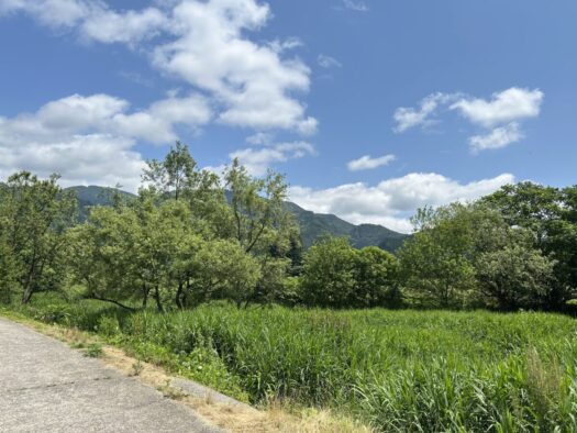 ひまわりダイアリー | 童心に返る 釣り堀で釣り体験 イワナの里 湯沢市