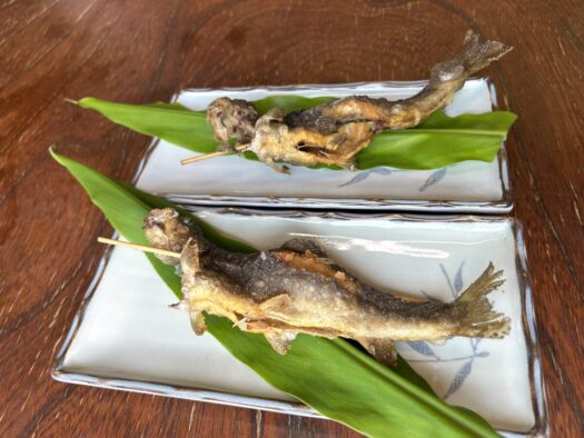 ひまわりダイアリー | 童心に返る 釣り堀で釣り体験 イワナの里 湯沢市