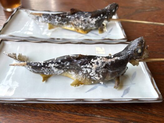 ひまわりダイアリー | 童心に返る 釣り堀で釣り体験 イワナの里 湯沢市