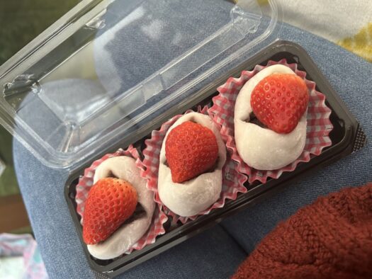 ひまわりダイアリー | 春の足音 苺大福 羽後の道の駅 羽後町