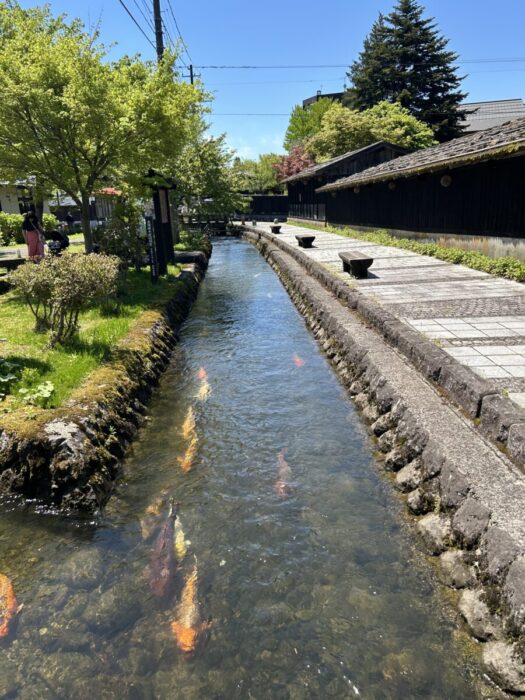 ひまわりダイアリー | 穴場 金山大堰 町並み散策 金山町