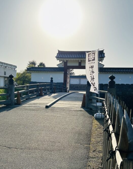アイリス ダイアリー | 姉への感謝を