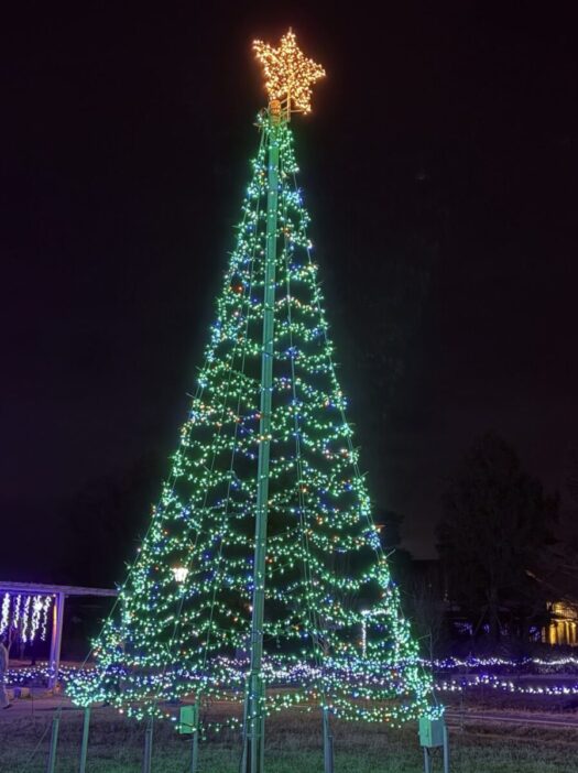 アイリス ダイアリー | 未来の旦那さんと堪能するライトアップ「藤島イルミネーション」山形県鶴岡市 アイリス ダイアリー | 未来の旦那さんと堪能するライトアップ「藤島イルミネーション」山形県鶴岡市