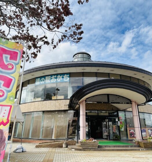 アイリス ダイアリー アイリス ダイアリー