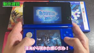 キリメタドーのゲーム日記 | 3DSソフトのルビサファリメイクのデータガチャ