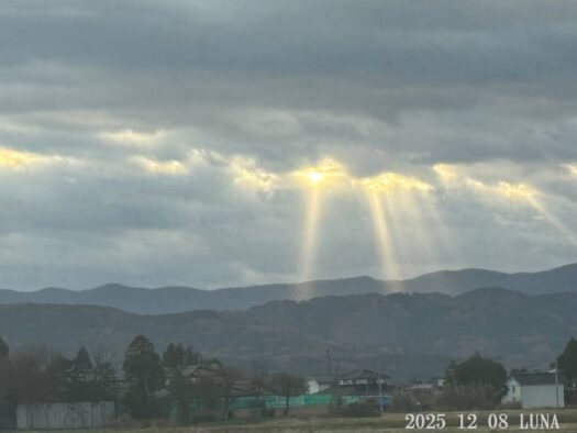 ルナ ダイアリー | 喜びに導かれし天使の梯子