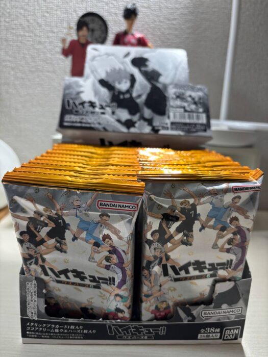 ルナ ダイアリー | ハッピー推活ハイキュー　そのじゅう