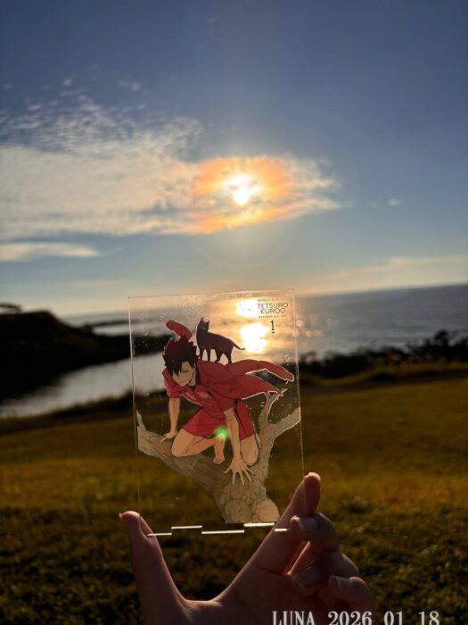 いー庄内ドットコム | 感動、金色の夕映え