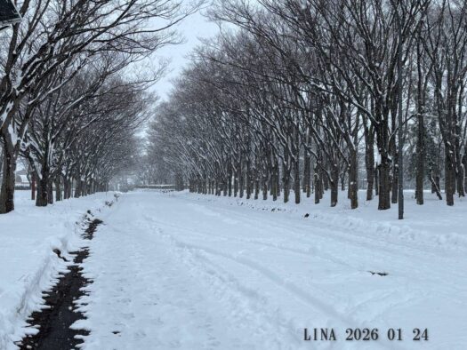 いー庄内ドットコム | 心を整え、明日へ続くの道