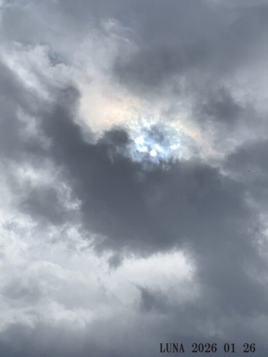 ルナ ダイアリー | 麗しい冬日影